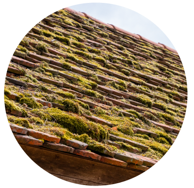 Catégorie toiture DÉMOUSSAGE ET NETTOYAGE DE TOITURE